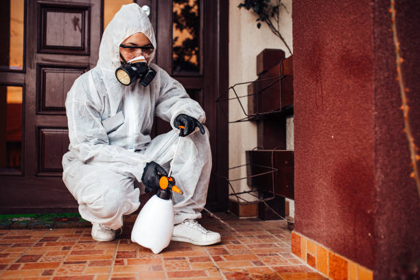 Reliable Ant Control contractor in Bunnell, FL by Nex Pest Control